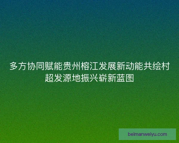 多方协同赋能贵州榕江发展新动能共绘村超发源地振兴崭新蓝图